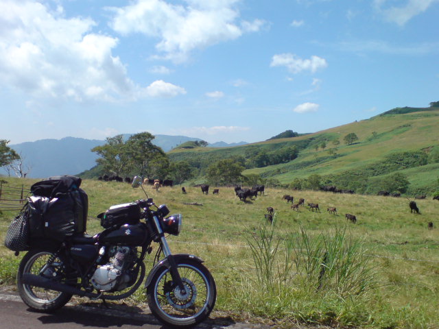 f0137483_2037082.jpg