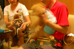 c0130389_2154621.jpg