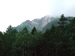 d0098792_153172.jpg
