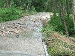 d0098792_1554299.jpg