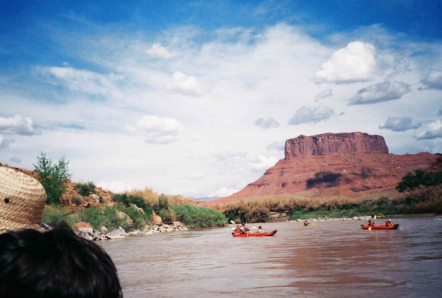 d0077699_930531.jpg