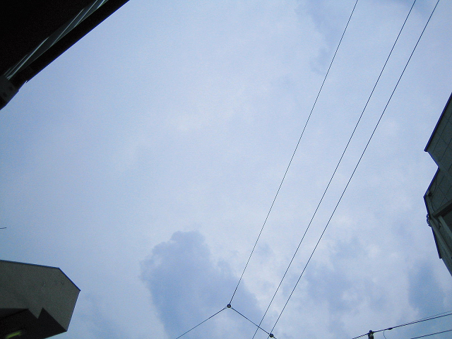 d0079302_1716443.jpg