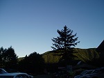 f0147602_2032524.jpg
