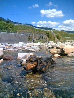 f0135908_1464759.jpg