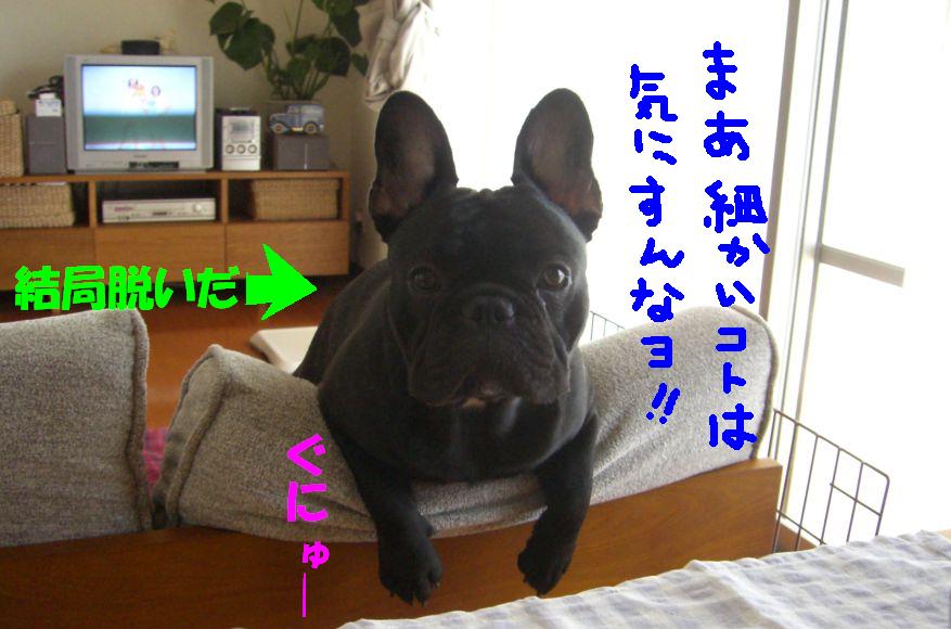 c0113109_0264780.jpg