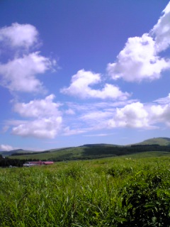 f0014209_1181771.jpg