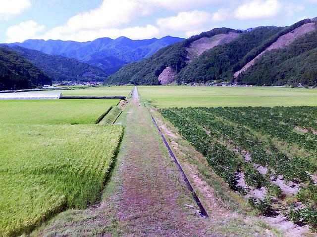b0062010_23335914.jpg