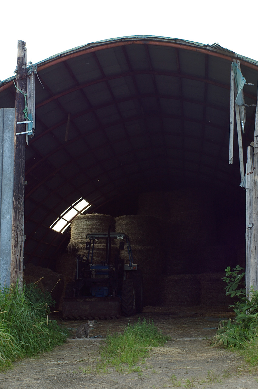 c0133911_038381.jpg