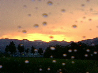 f0068511_2053860.jpg