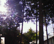 f0041113_13103578.jpg