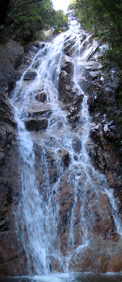 f0107315_2242967.jpg