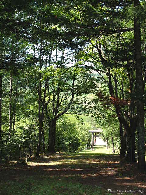 b0032921_1485091.jpg
