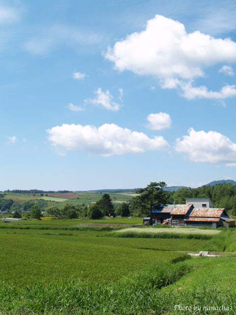 b0032921_241742.jpg