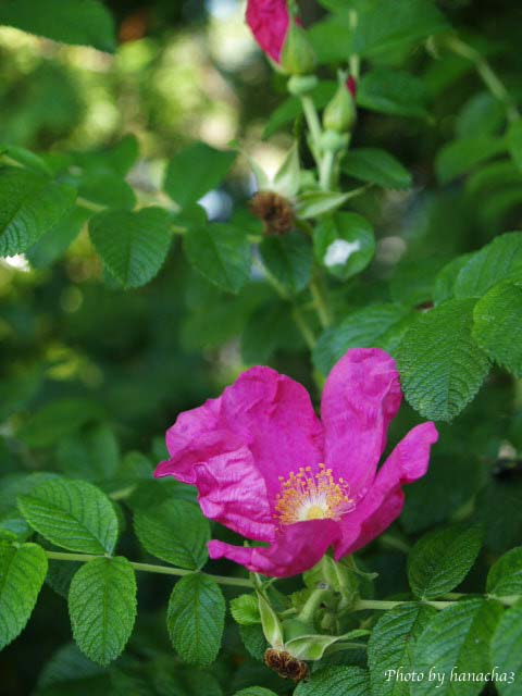 b0032921_2555736.jpg