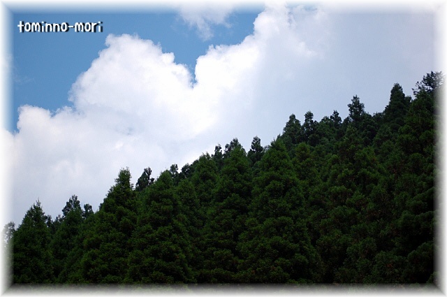 d0083623_18105041.jpg