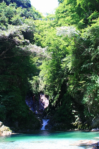 e0083428_20304574.jpg