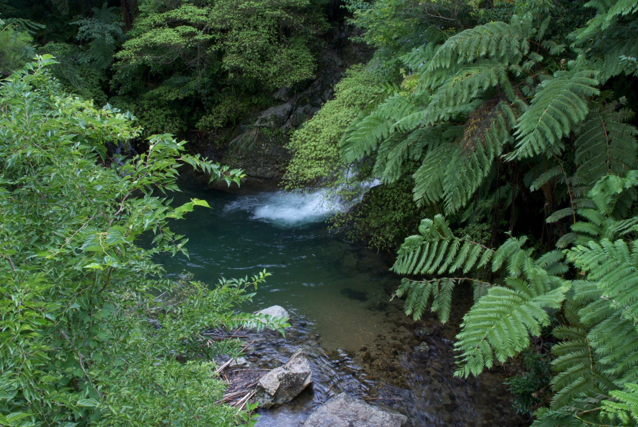 d0053930_6204927.jpg
