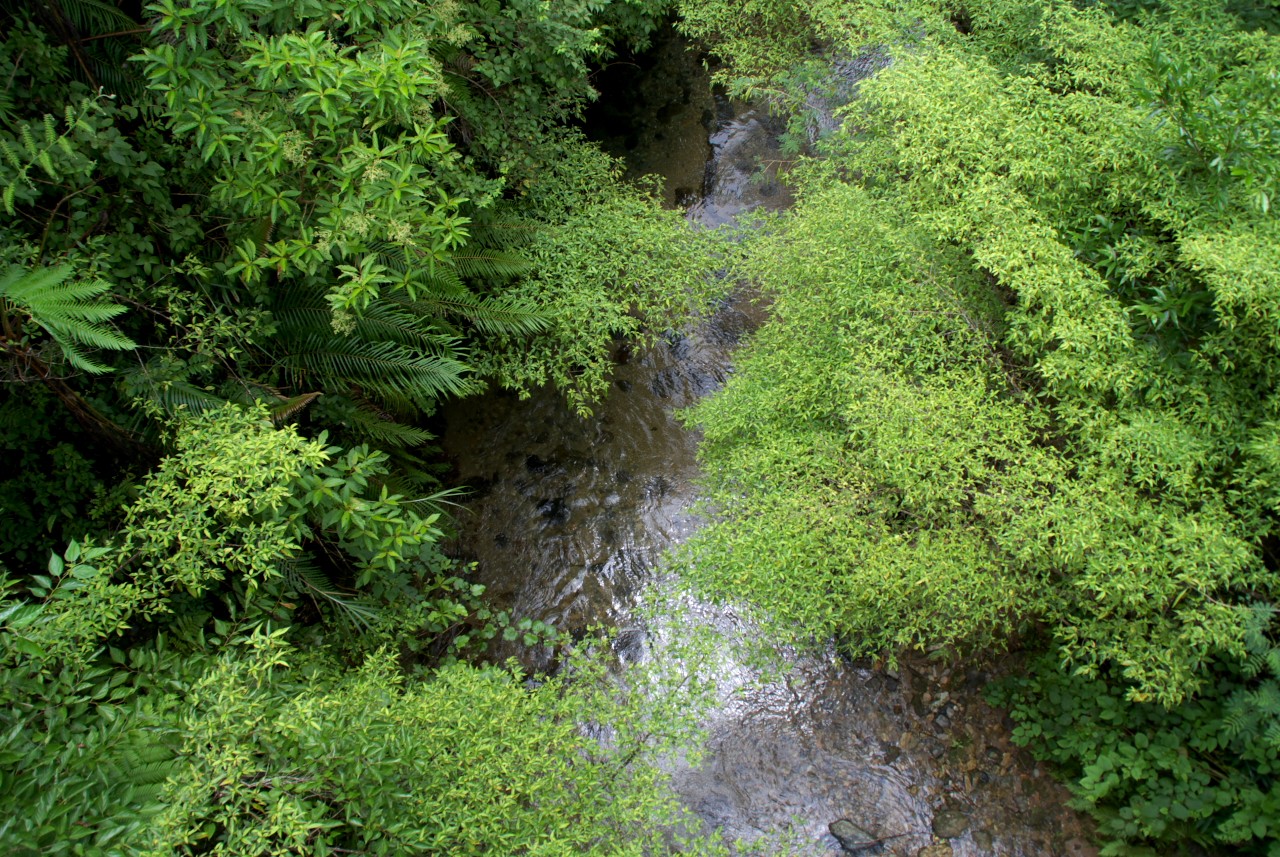 d0053930_622447.jpg