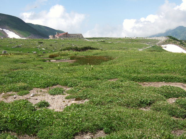 e0064133_2215655.jpg