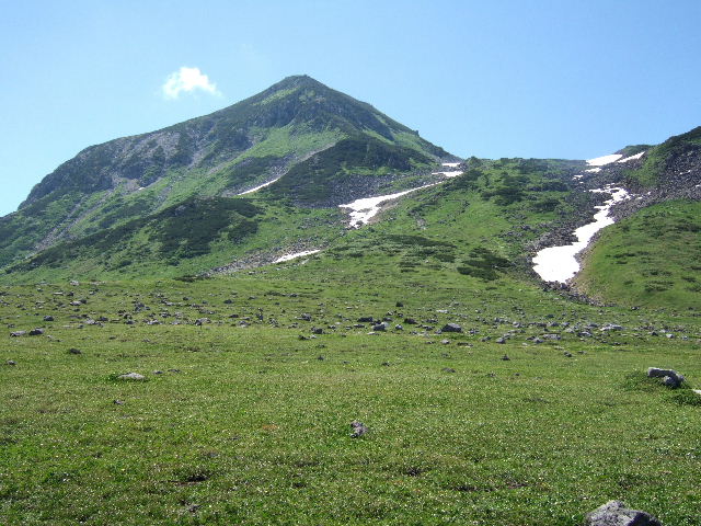 e0064133_2271813.jpg
