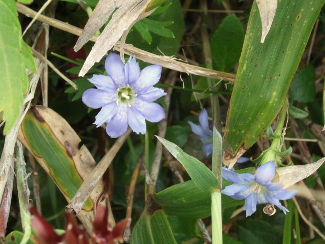 e0064133_2285017.jpg