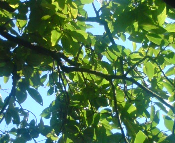 a0013236_15121126.jpg