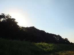 e0066139_062167.jpg