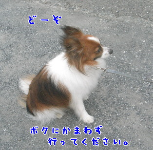d0013149_1275185.jpg