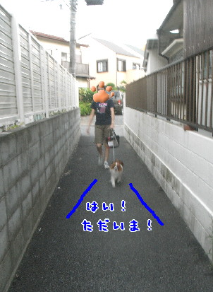 d0013149_132255.jpg