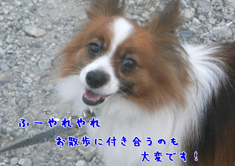 d0013149_145630.jpg