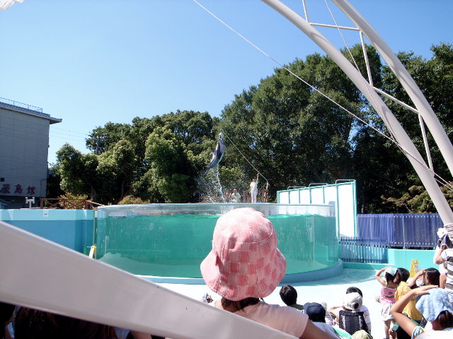 d0094353_2251633.jpg