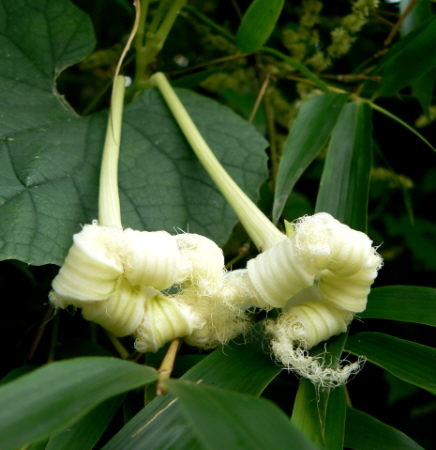 d0091754_2359514.jpg