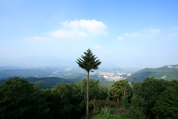 e0122855_11191779.jpg