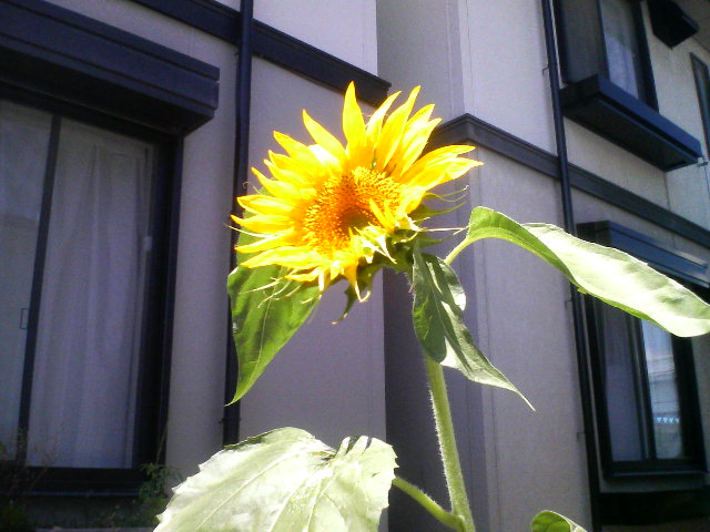 f0051256_23143975.jpg