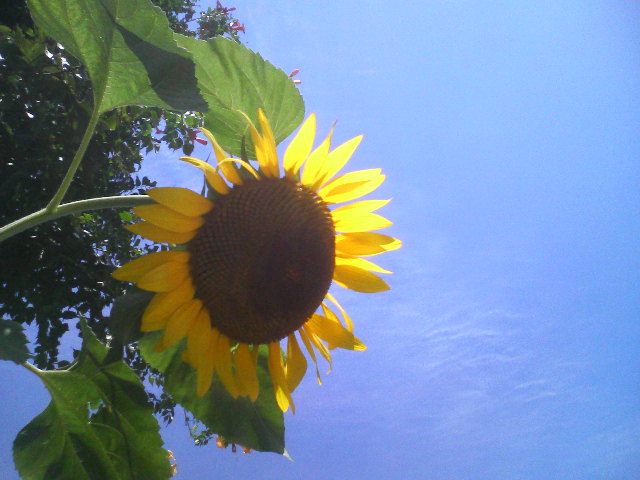 f0051256_23145767.jpg