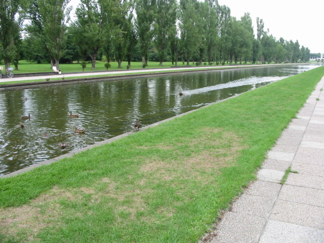 f0122259_11333026.jpg