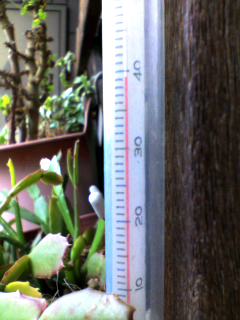 c0039661_22172486.jpg