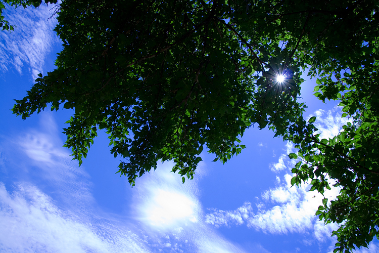 c0114161_2010411.jpg