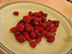 d0013068_222841.jpg