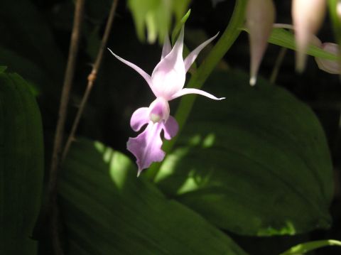 c0042869_1925669.jpg