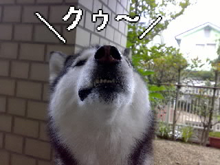 d0087675_1901521.jpg