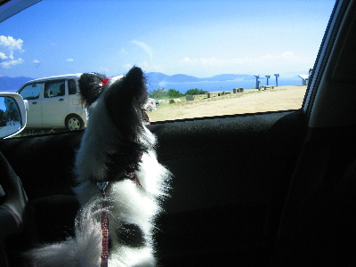 d0116578_22241031.jpg