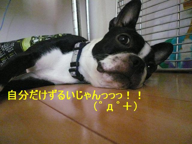 d0120282_15303679.jpg