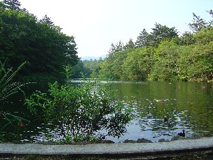 b0076384_1243866.jpg