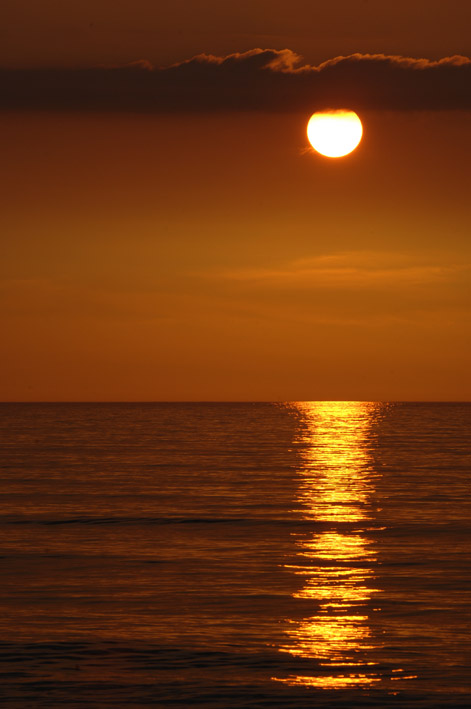 f0112087_17133791.jpg