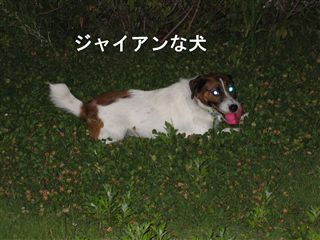 e0121589_0125455.jpg
