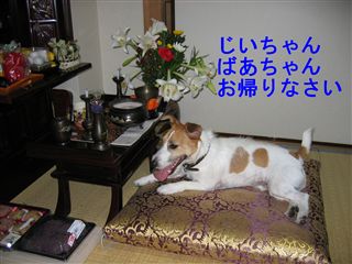 e0121589_016410.jpg