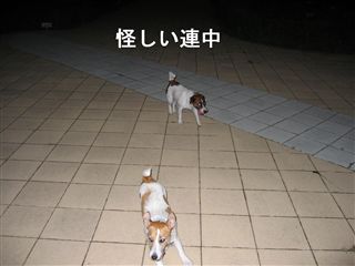 e0121589_063615.jpg