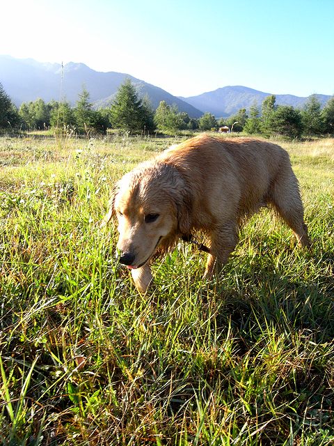 a0093592_05458.jpg
