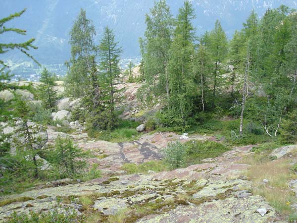 a0091997_1322199.jpg